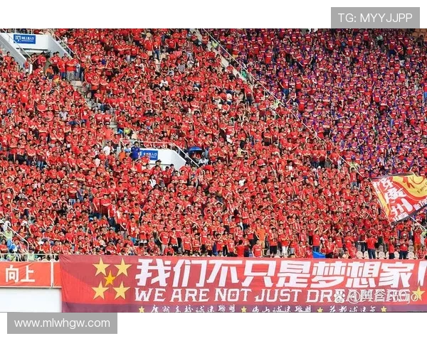 印尼总统：非常高兴取得胜利或许这次真的能闯入世界杯
